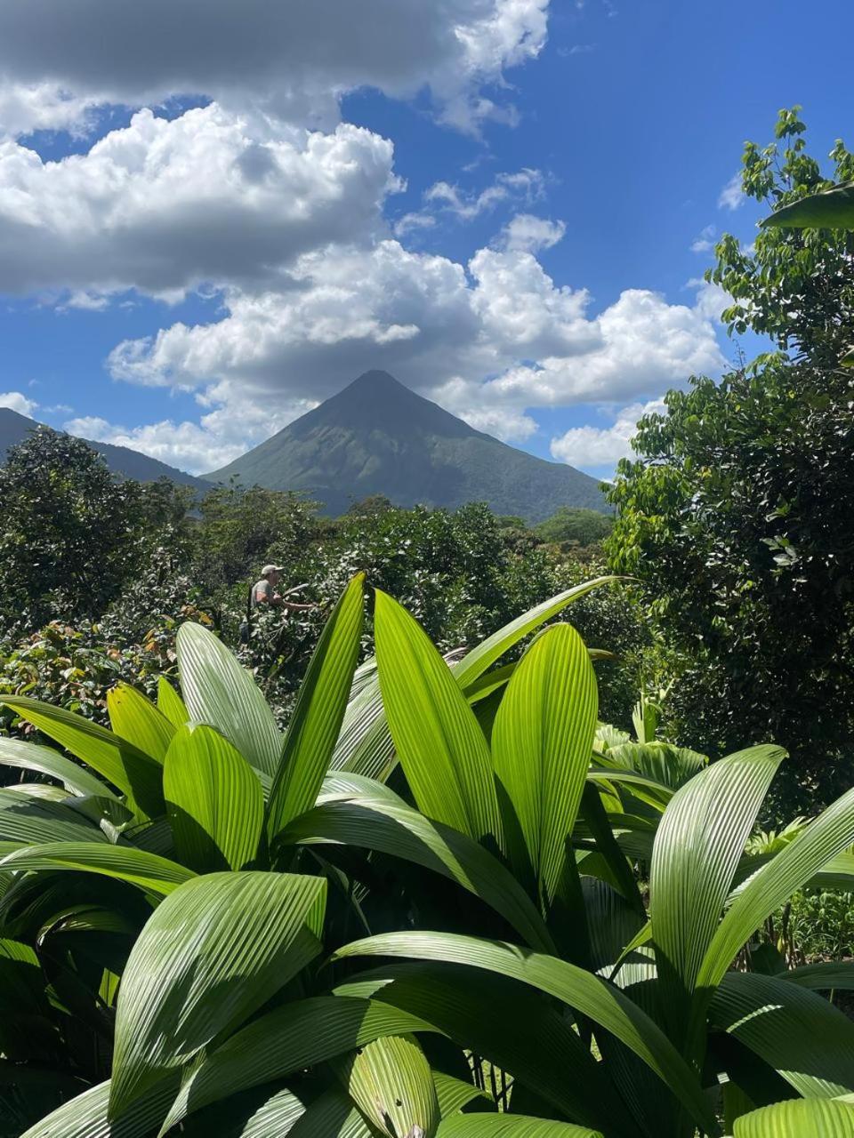 Cabana Rural El Mirador La Fortuna Buitenkant foto
